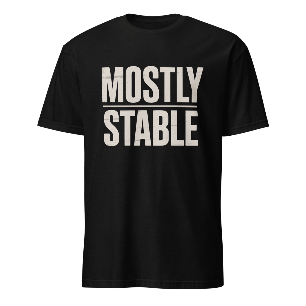 Mostly Stable full - search mostly stable statement - Developer T-shirt - techmerch.io