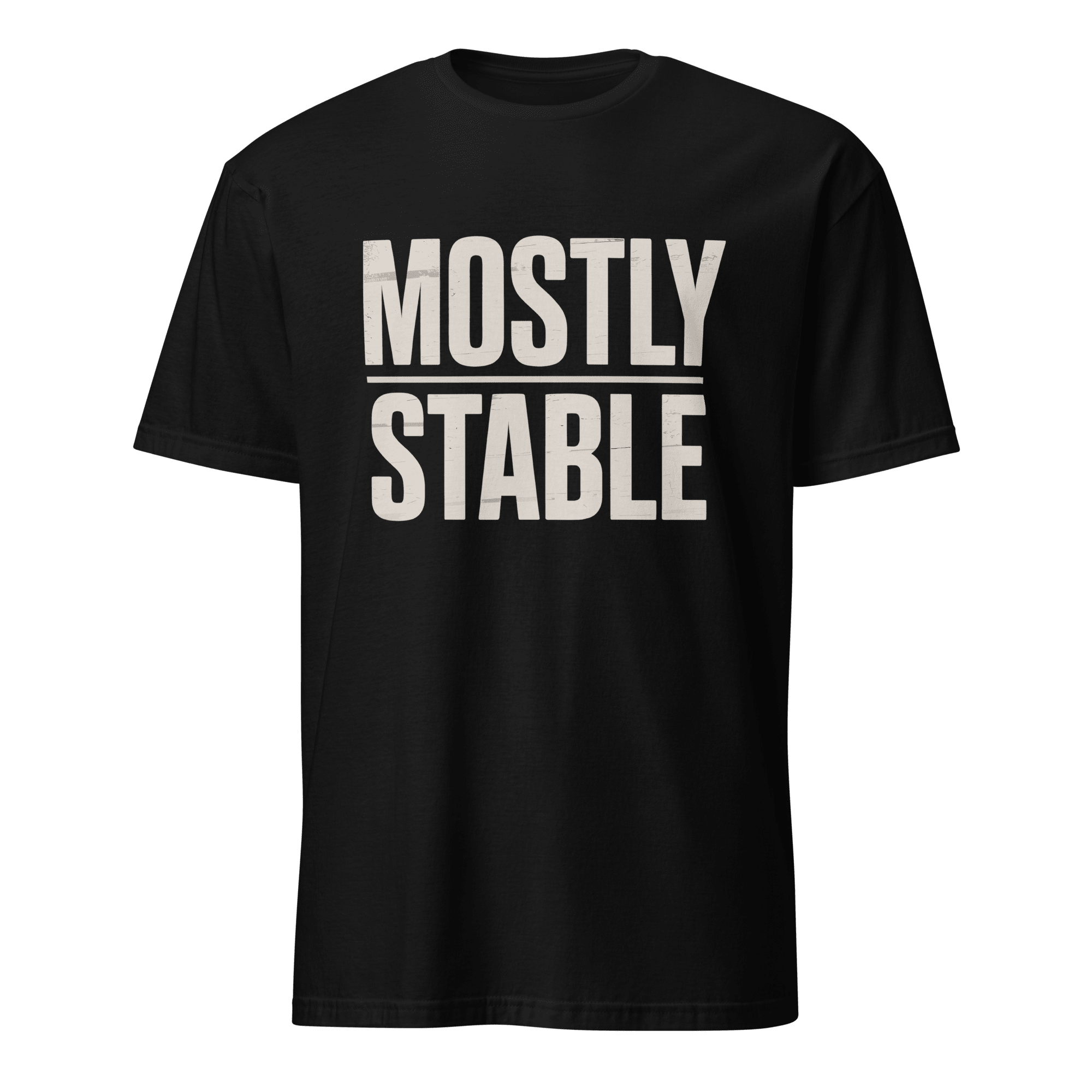 Mostly Stable full - search mostly stable statement - Developer T-shirt - techmerch.io