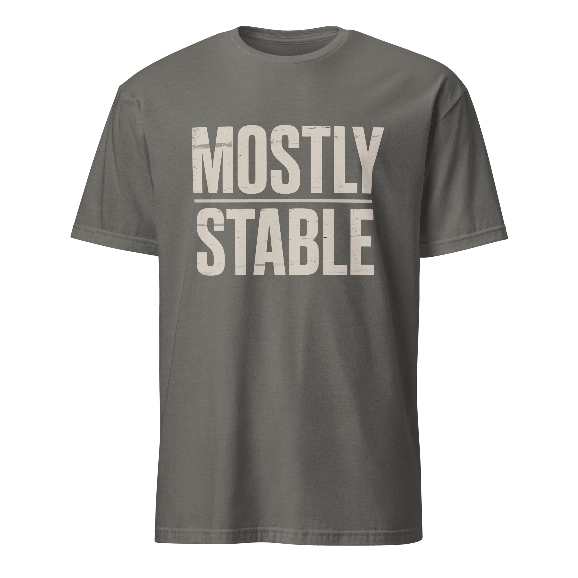 Mostly Stable full - search mostly stable statement - Developer T-shirt - techmerch.io