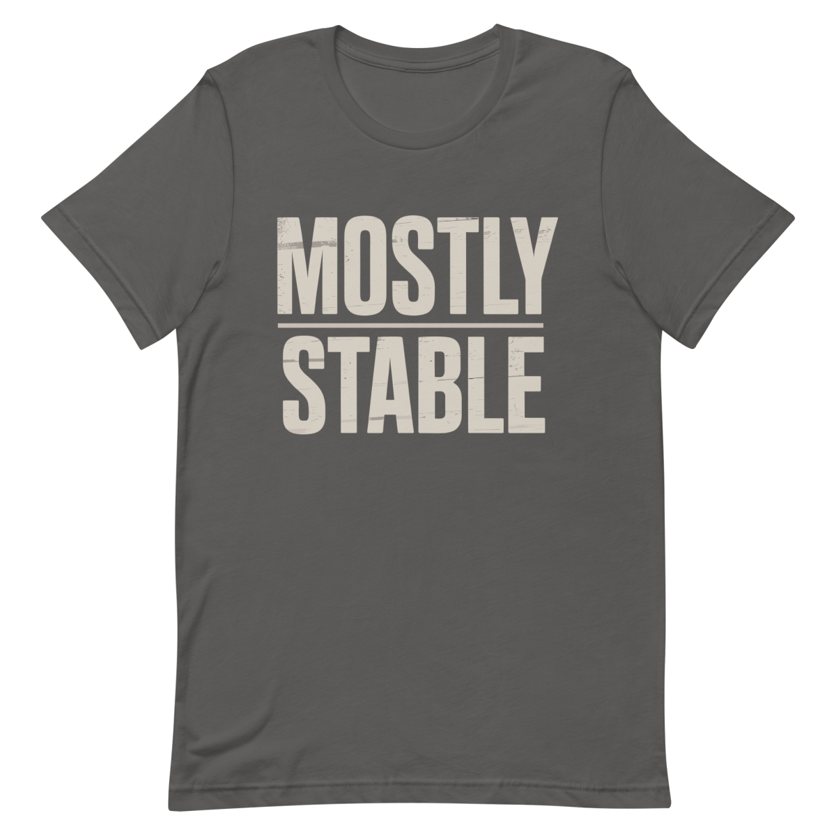 Mostly Stable developer health sarcastic - Developer T-shirt - techmerch.io